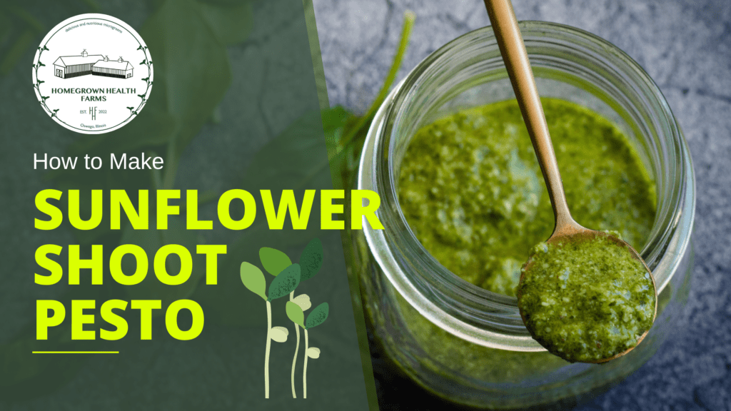 Sunflower Shoot Pesto Recipe Homegrown Health Farms