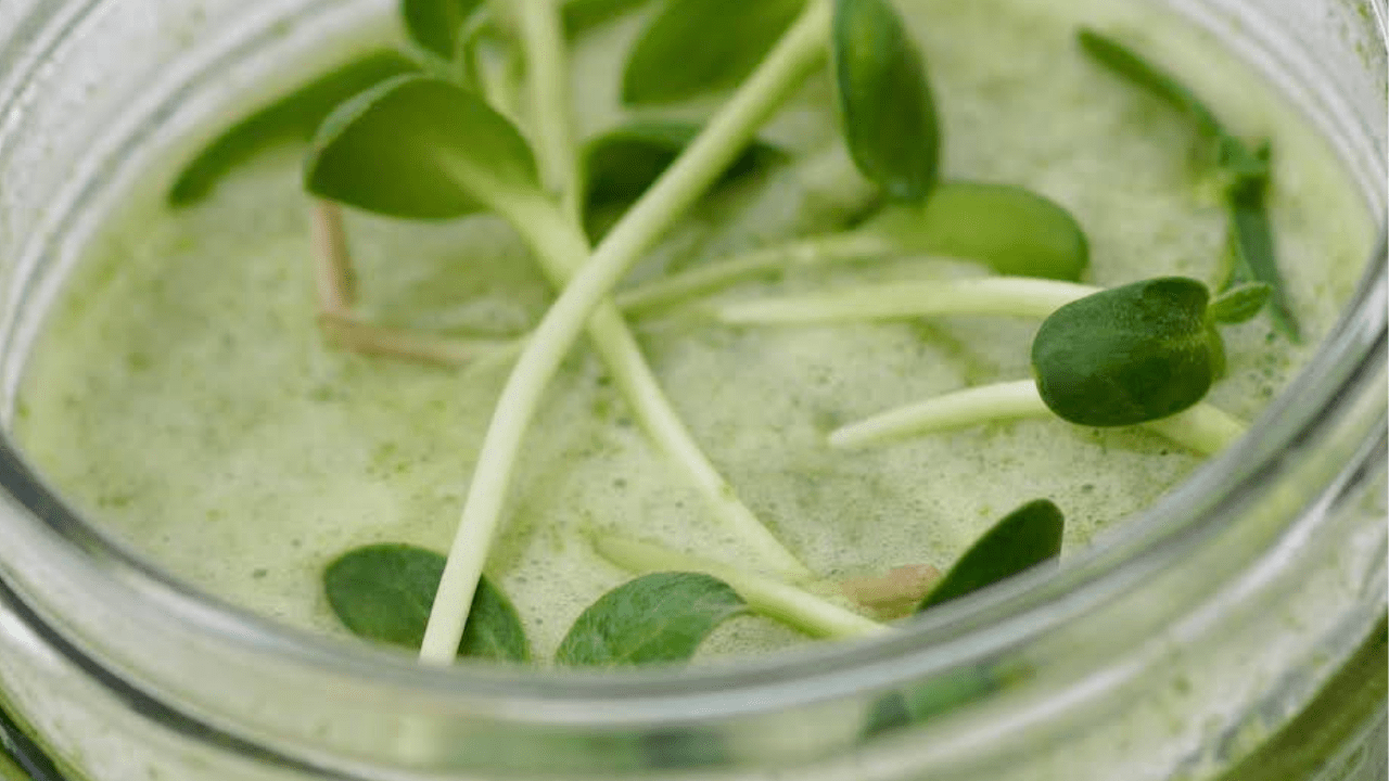 Pea shoots for a green smoothie any time of the day