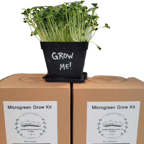 microgreens grow kit. Grow your own microgreens at home.