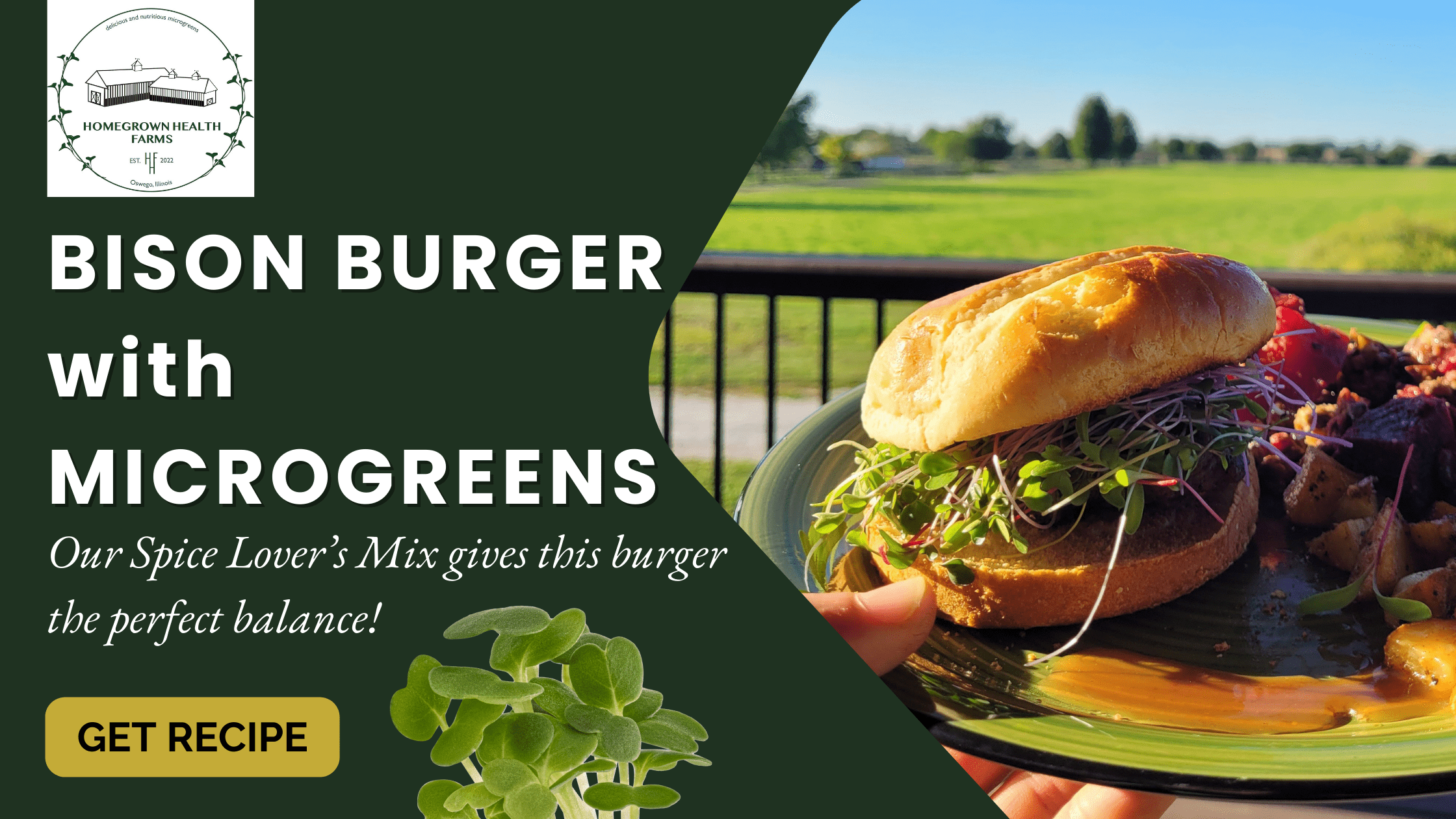 Bison Burger with microgreens Recipe