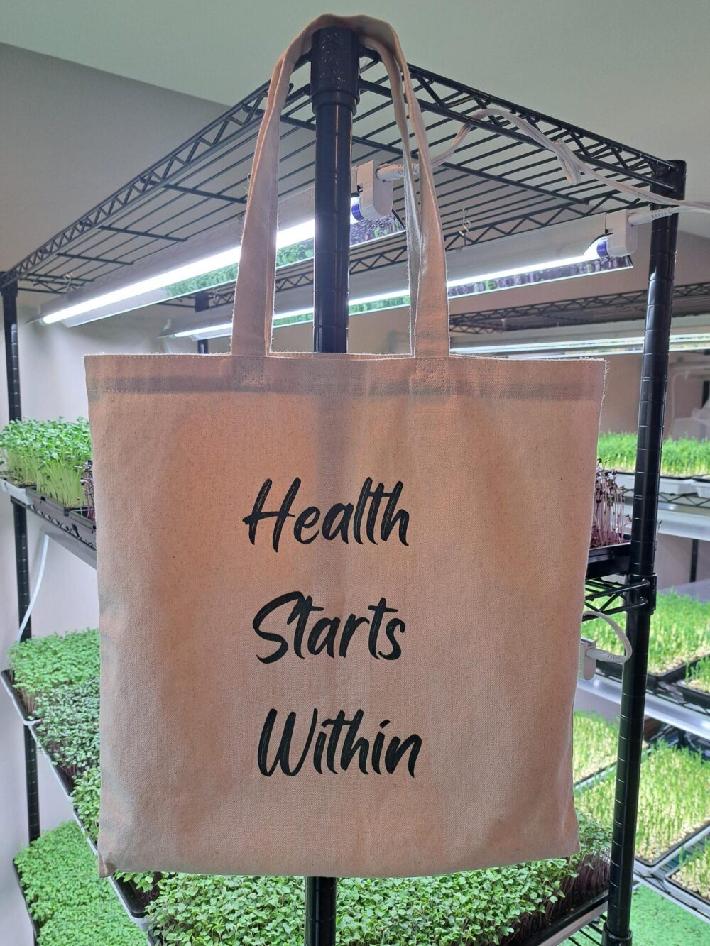 Homegrown Health Farms tote bag and merch