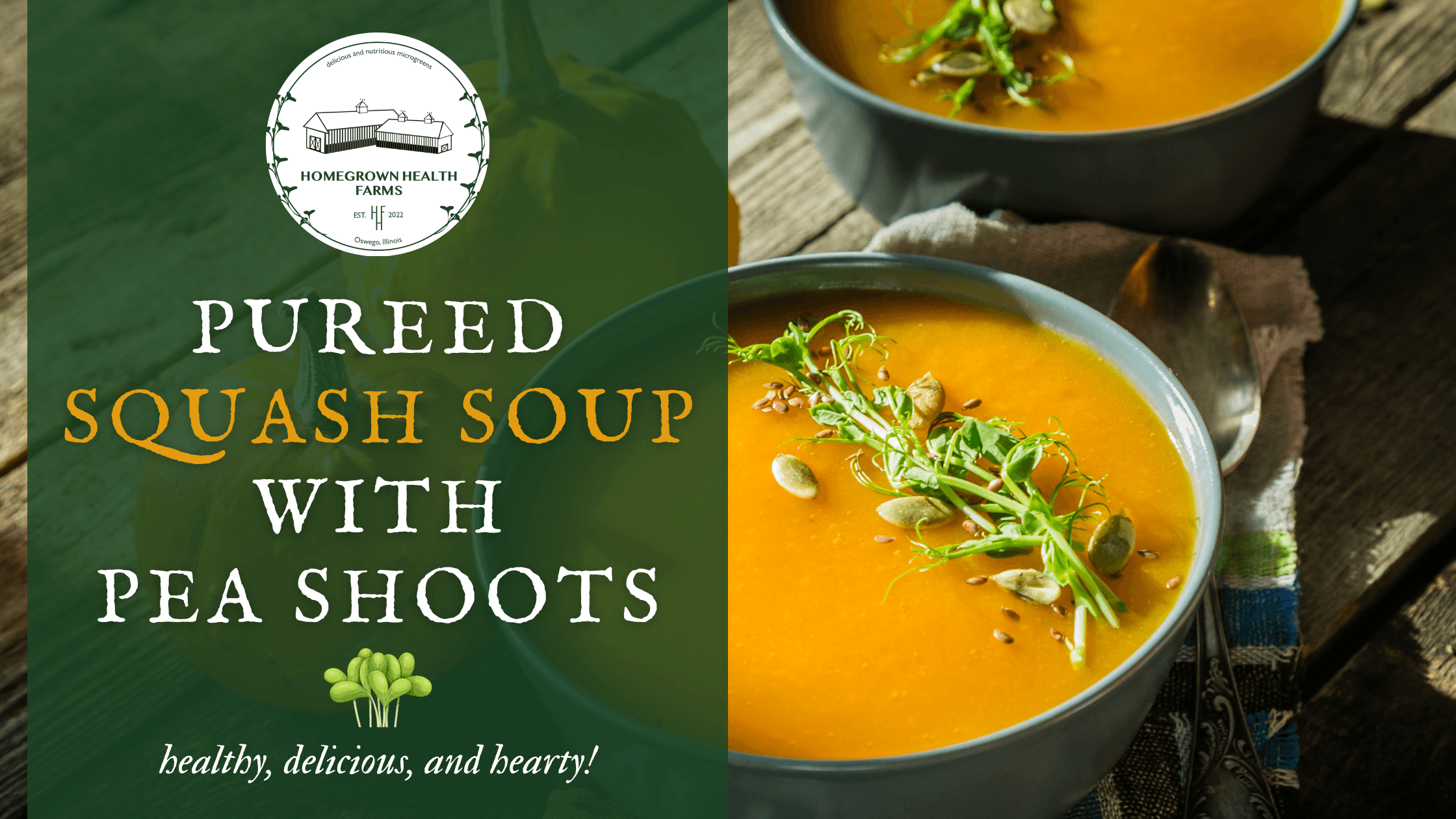 squash soup with pea shoot recipe. organic microgreens