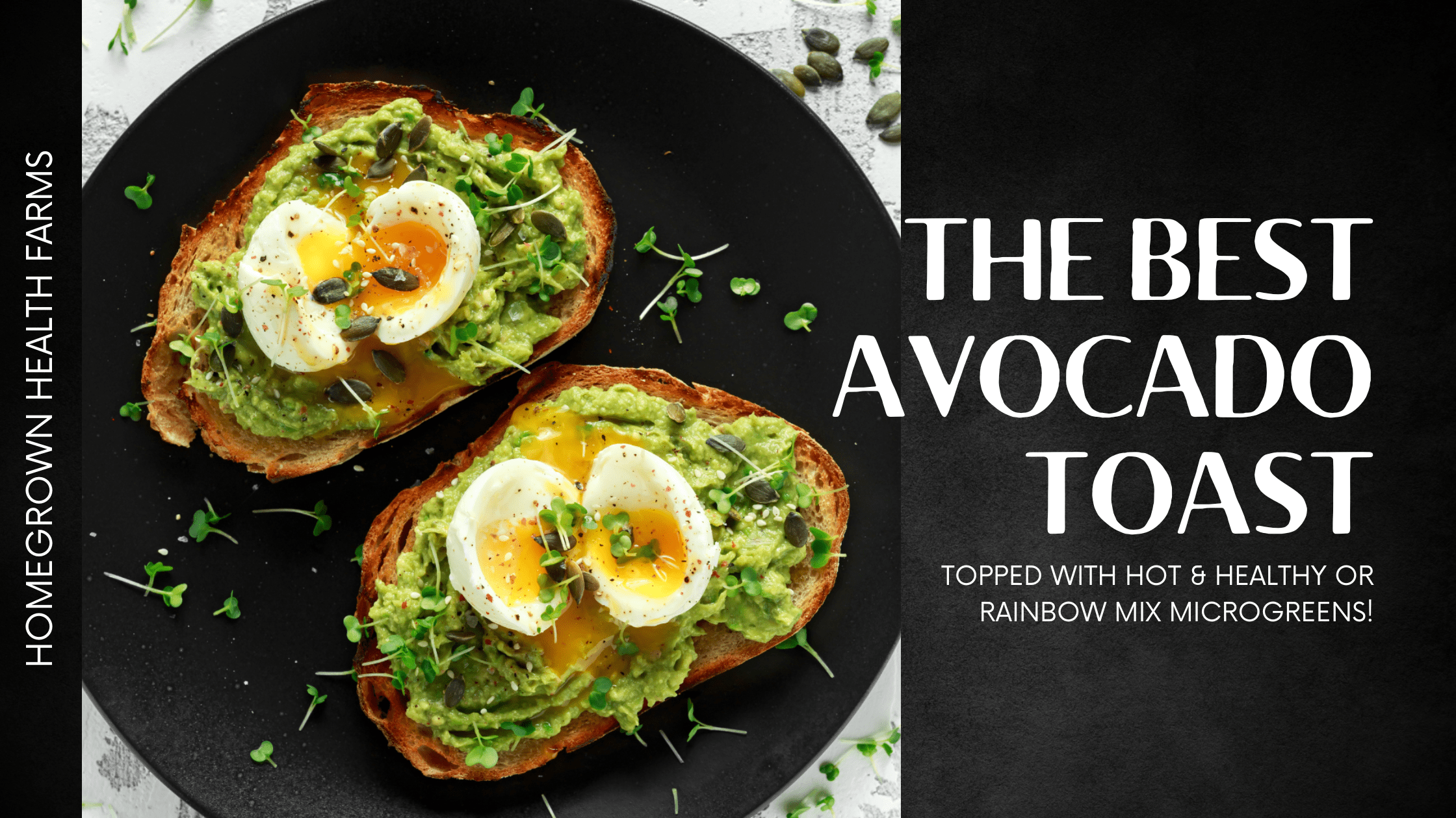 Avocado toast with microgreens recipe. Health recipe from Oswego farm