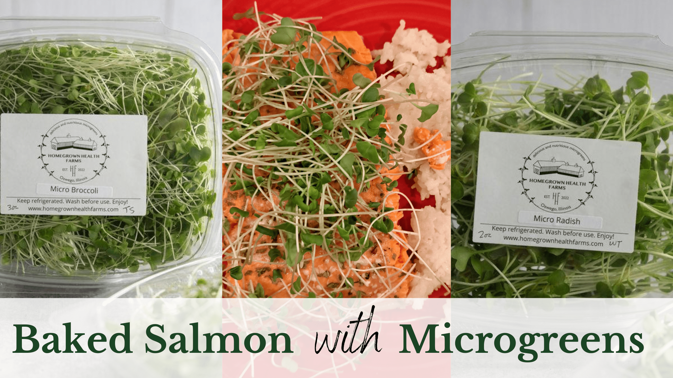 baked salmon with microgreens recipe. organic micro broccoli and micro radish
