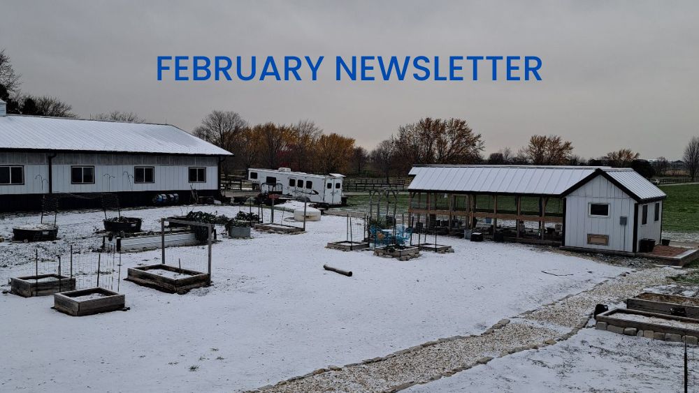 FEB NEWSLETTER BLOG HEADER 1000x563