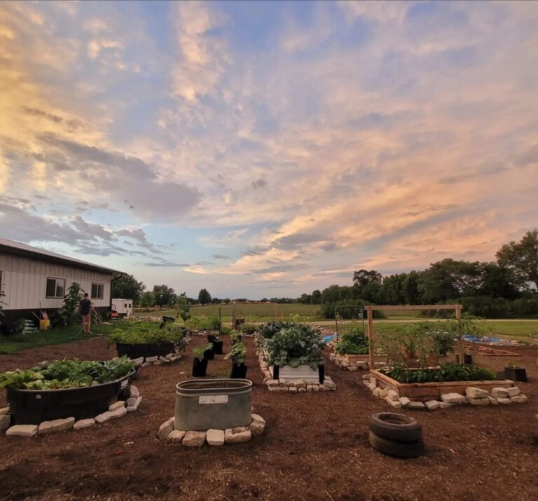 Homegrown Health Farms Oswego vegetable garden at sunset 1067x993