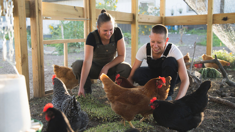 Homegrown Health Farms